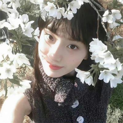 总统的分析