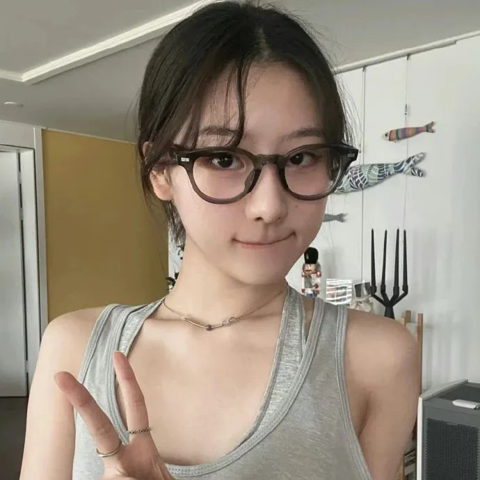 侠盗高飞