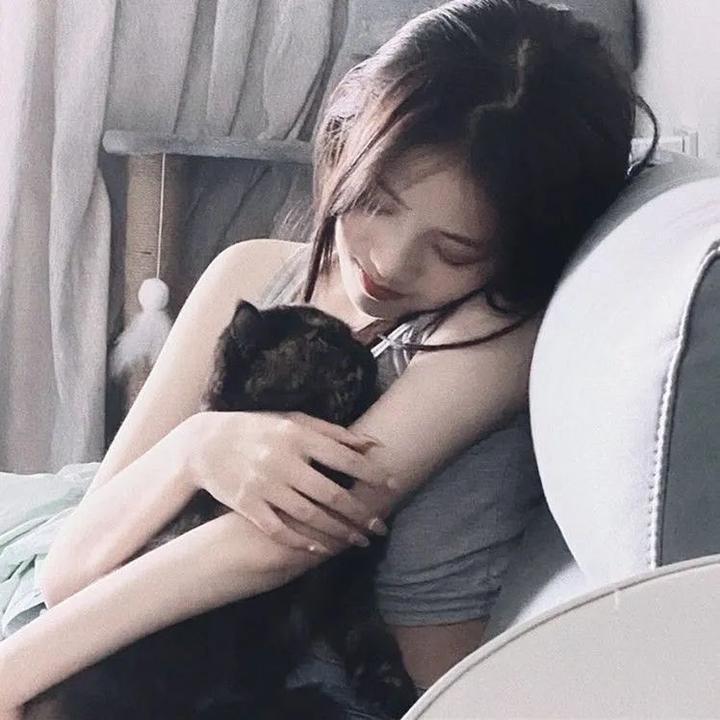 猫狗大战3：爪爪集结！